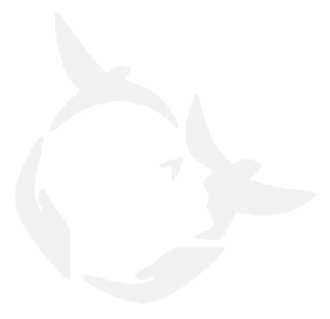 6_717f294c871 (1) (2)